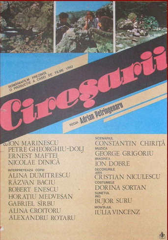 Póster de Cireșarii