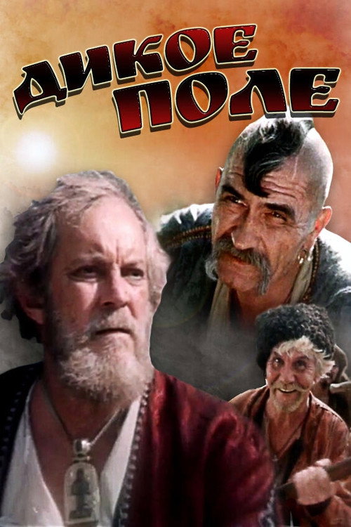 Póster de Дикое поле