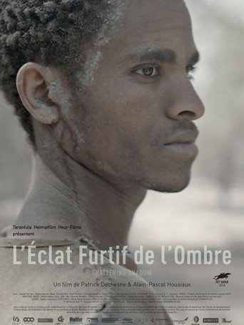 Póster de L'éclat furtif de l'ombre