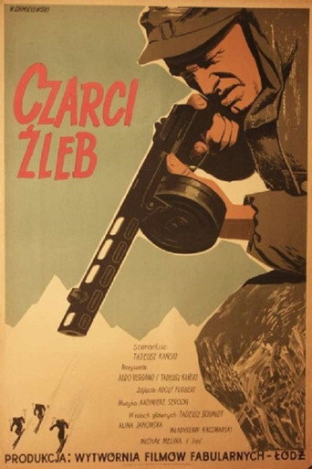 Póster de Czarci żleb
