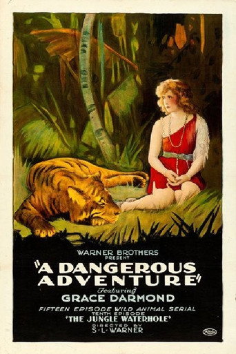 Póster de A Dangerous Adventure