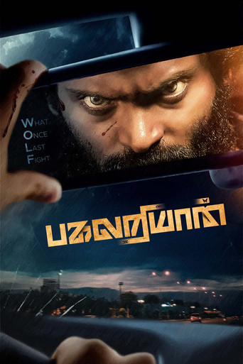 Póster de Pagalariyaan