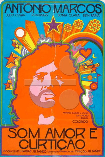 Póster de Som, Amor e Curtição