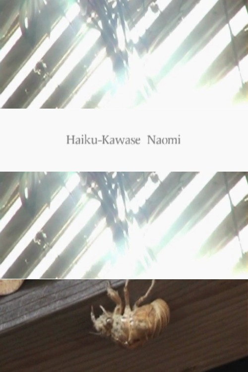 Póster de Haiku