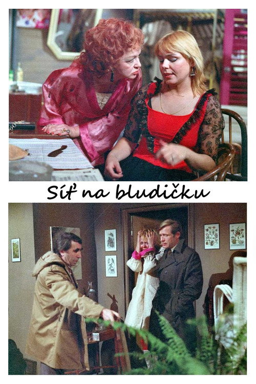 Póster de Síť na bludičku