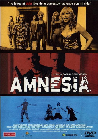 Póster de Amnèsia