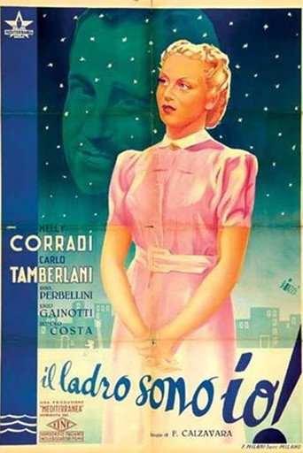Póster de Il ladro sono io!