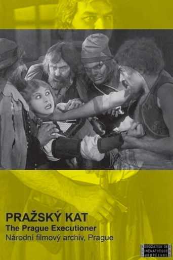 Póster de Pražský kat