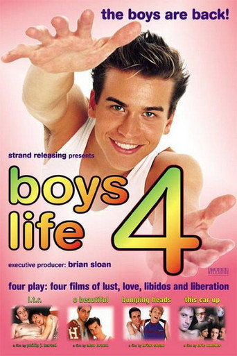 Póster de Boys Life 4