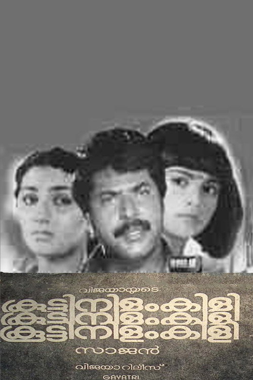 Póster de കൂട്ടിനിളംകിളി