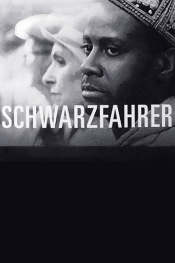 Póster de Schwarzfahrer