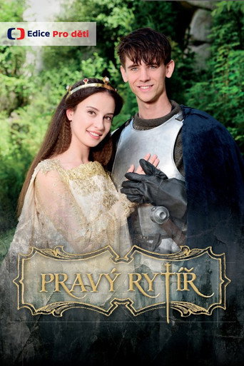 Póster de Pravý rytíř