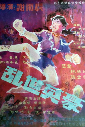 Póster de 乱世英豪