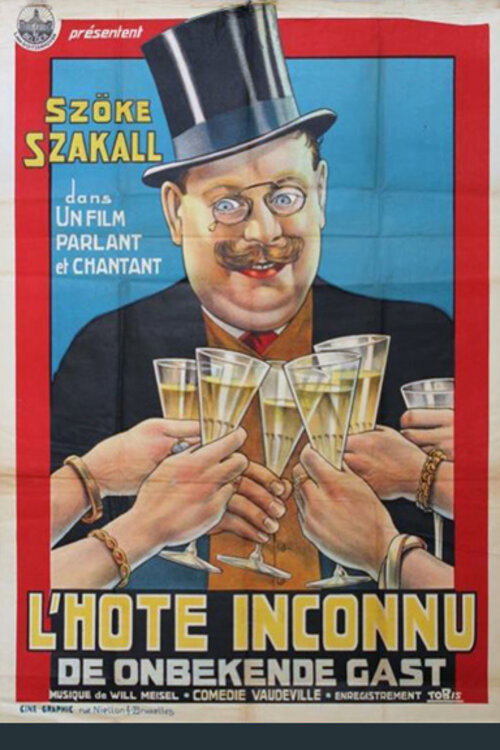 Póster de Der unbekannte Gast