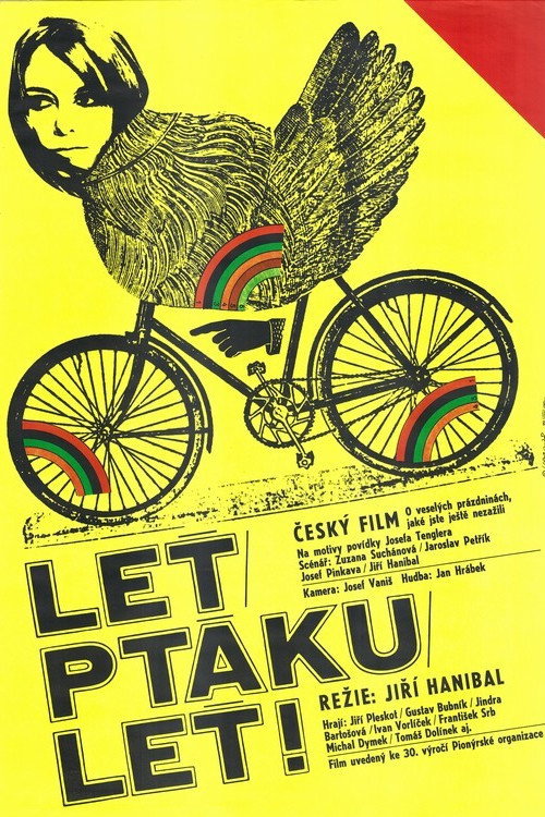 Póster de Leť, ptáku leť!