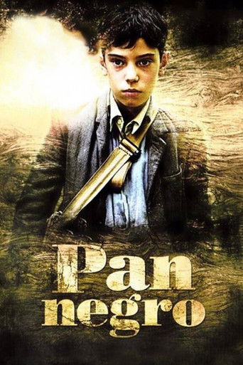 Póster de Pa Negre