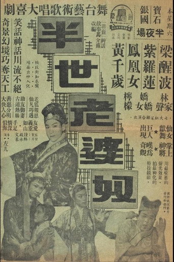 Póster de 半世老婆奴
