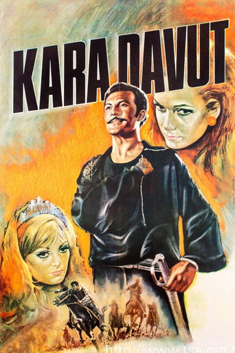 Póster de Kara Davut