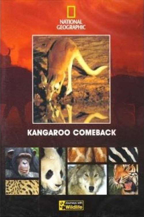 Póster de Kangaroo Comeback