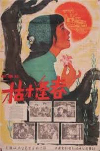 Póster de 枯木逢春