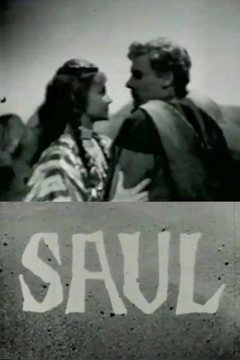 Póster de Saul