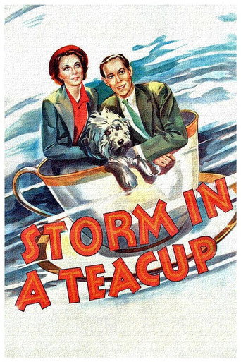 Póster de Storm in a Teacup