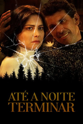 Póster de Hasta que la noche termine