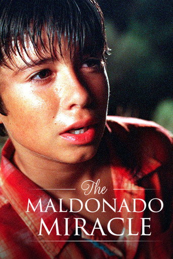 Póster de The Maldonado Miracle