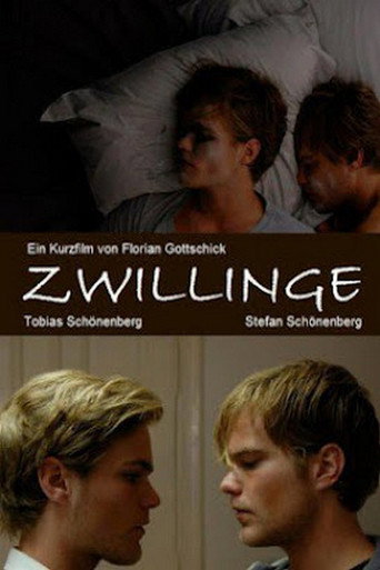 Póster de Zwillinge