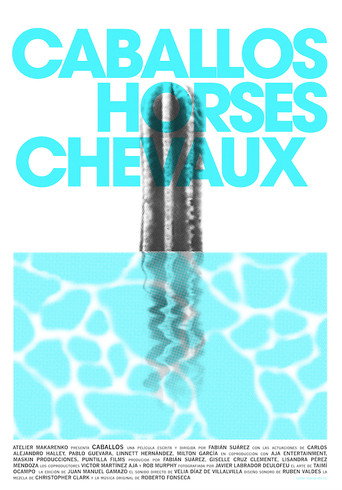 Póster de Caballos