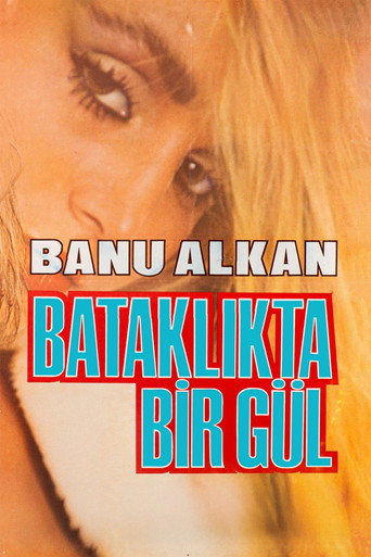 Póster de Bataklıkta Bir Gül