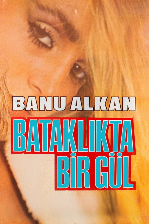 Póster de Bataklıkta Bir Gül