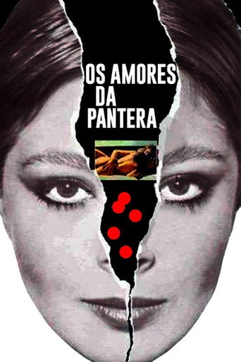 Póster de Os Amores da Pantera