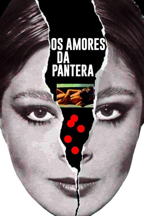 Póster de Os Amores da Pantera