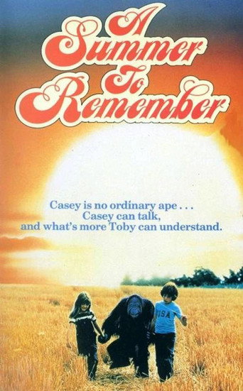 Póster de A Summer to Remember