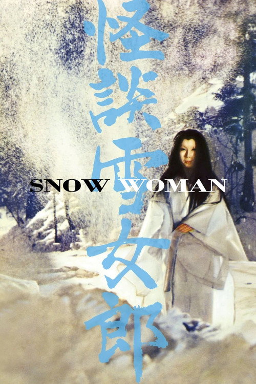 Póster de The Snow Woman
