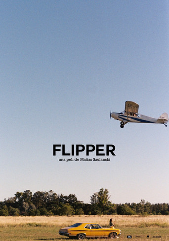 Póster de Flipper