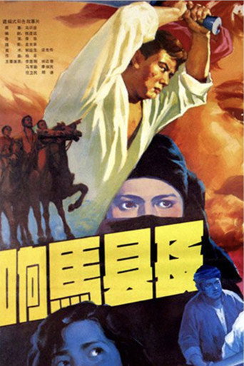 Póster de 响马县长