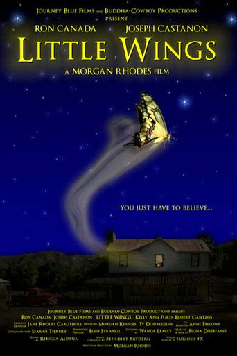 Póster de Little Wings