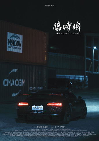Póster de Driving in the Dark