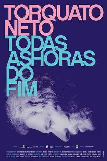 Póster de Torquato Neto - Todas as Horas do Fim