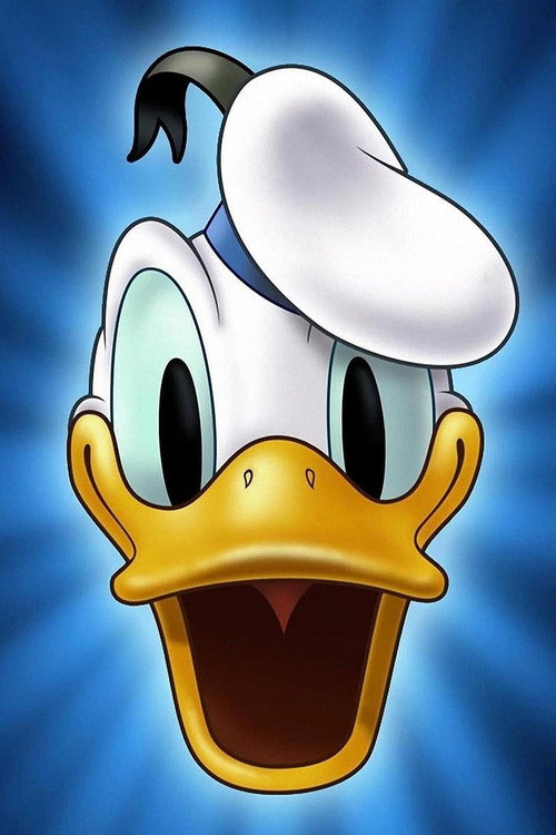 Póster de Duck Flies Coop