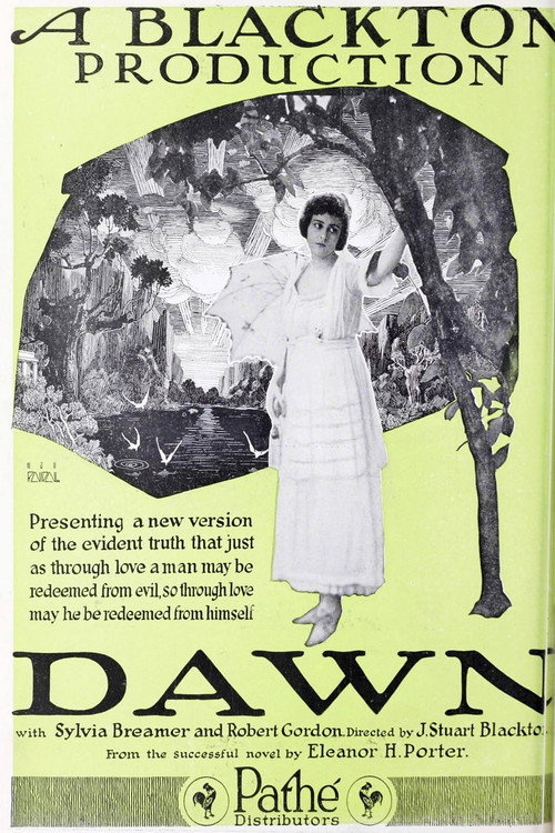 Póster de Dawn