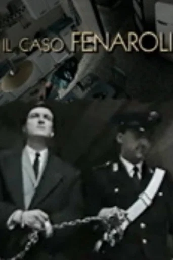 Póster de Il caso Fenaroli