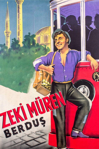 Póster de Berduş