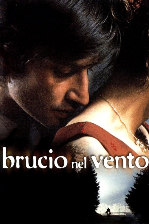 Póster de Brucio nel vento
