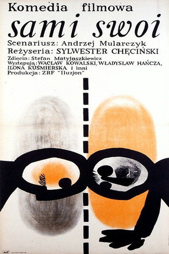 Póster de Sami swoi