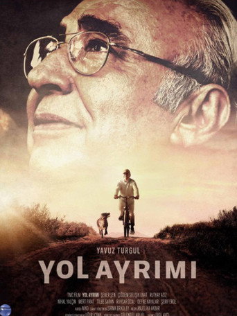 Póster de Yol Ayrımı
