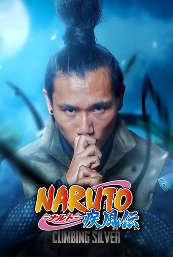 Póster de Naruto: Climbing Silver