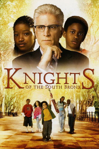 Póster de Knights of the South Bronx